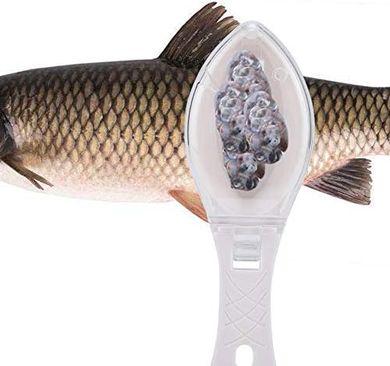 Yosoo Fish Scaler: Fast, Clean Fish Descaling Tool
